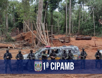 1ª CIPAmb têm papel destacado no combate a crimes ambientais no ano de 2020