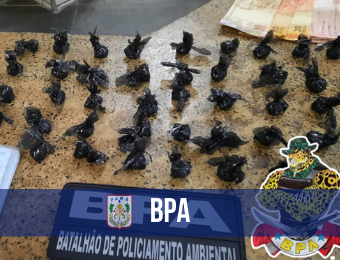 BPA prende suspeito de tráfico de drogas em Belém