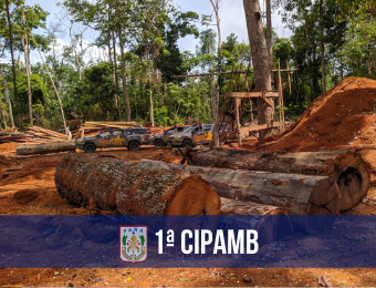 PM localiza madeira ilegal e apreende drogas em Santarém