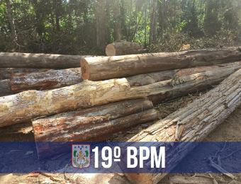 PM e SEMMA apreendem 114m³ de madeira em Paragomimas