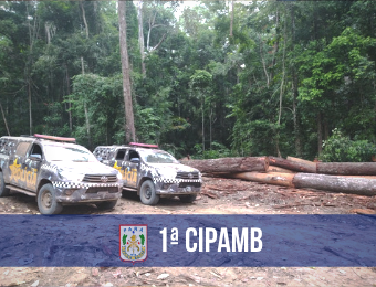 1ª Cipamb apreende madeira explorada ilegalmente 