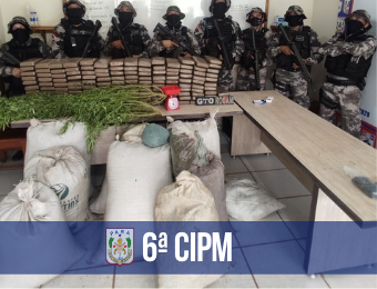 6ª CIPM flagra plantio de maconha e homens em situação de trabalho análogo ao de escravo