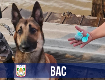 Cães do BAC farejam drogas em embarcação que saía de Icoaraci